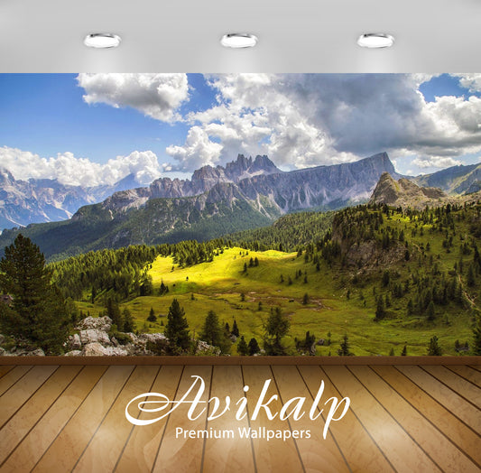 Avikalp Exclusive Awi2837 Mountain Landscape Rocky Peaks Forest With Pine Trees Meadow With Green Ne