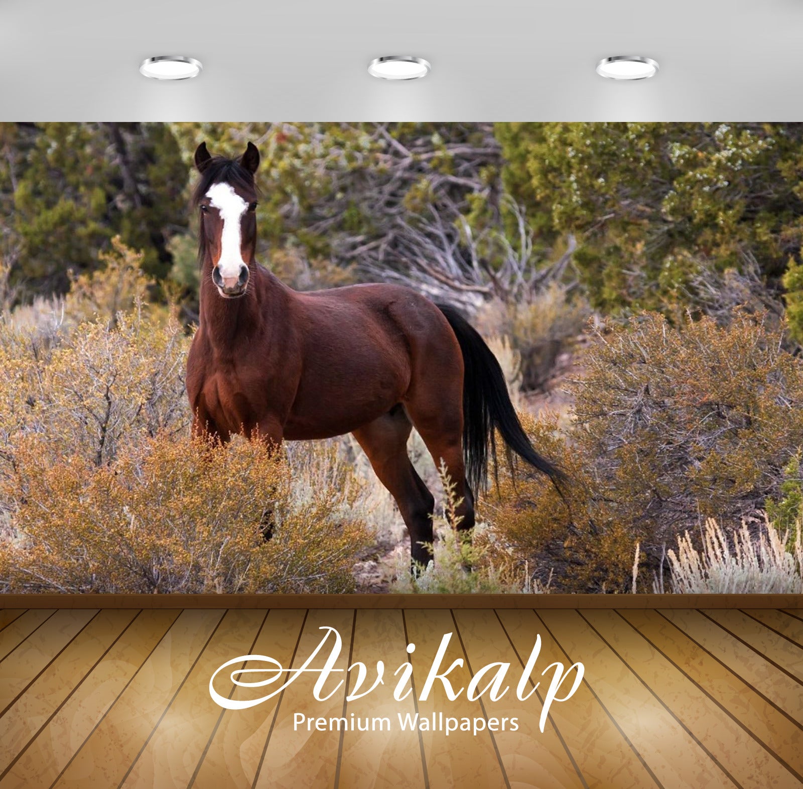 Avikalp Exclusive Awi2842 Mustang Wild Horse In Nature Originated By Spanish Mustangs Horses Brought