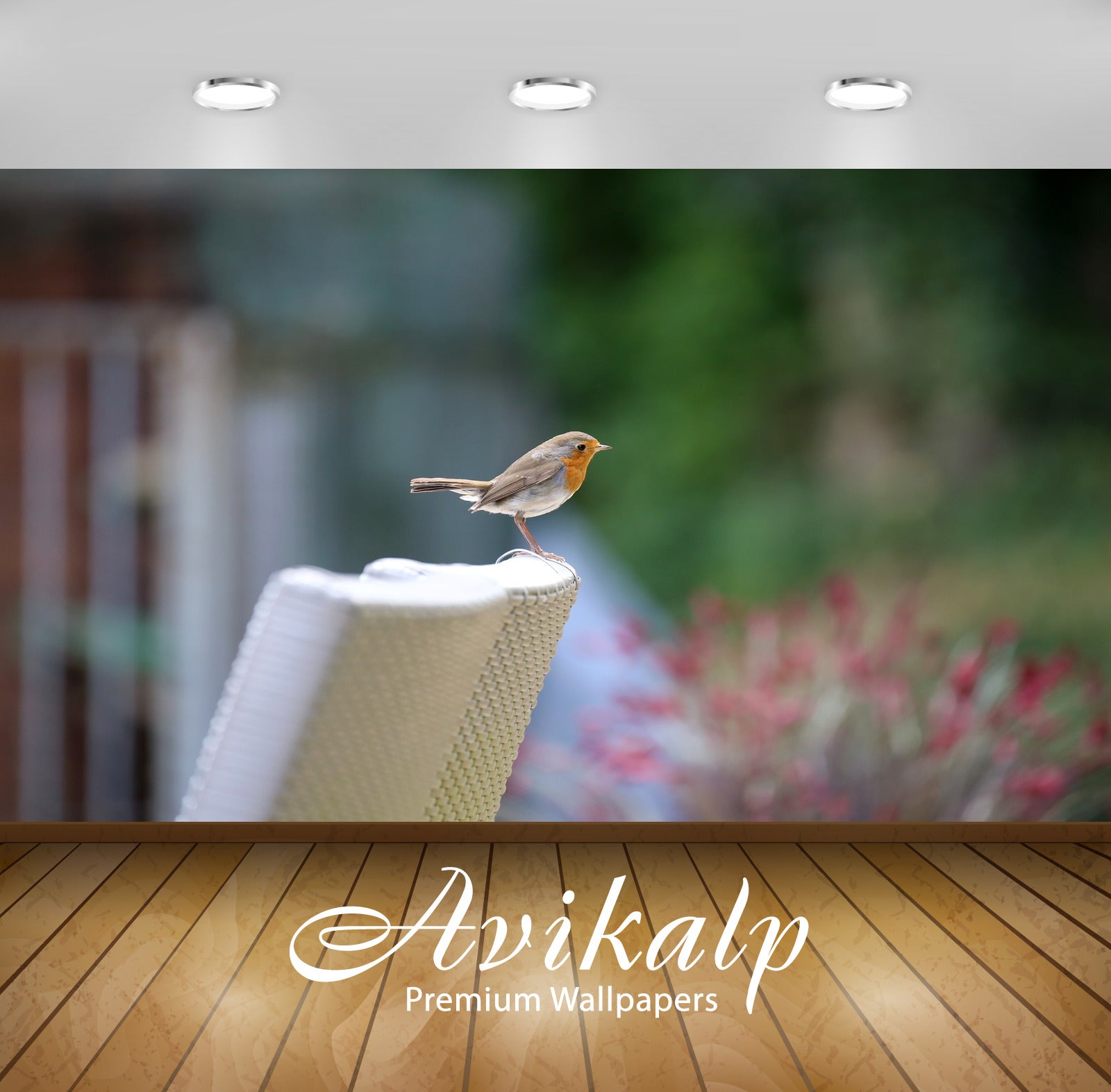 Avikalp Exclusive Premium robin HD Wallpapers for Living room, Hall, Kids Room, Kitchen, TV Backgrou