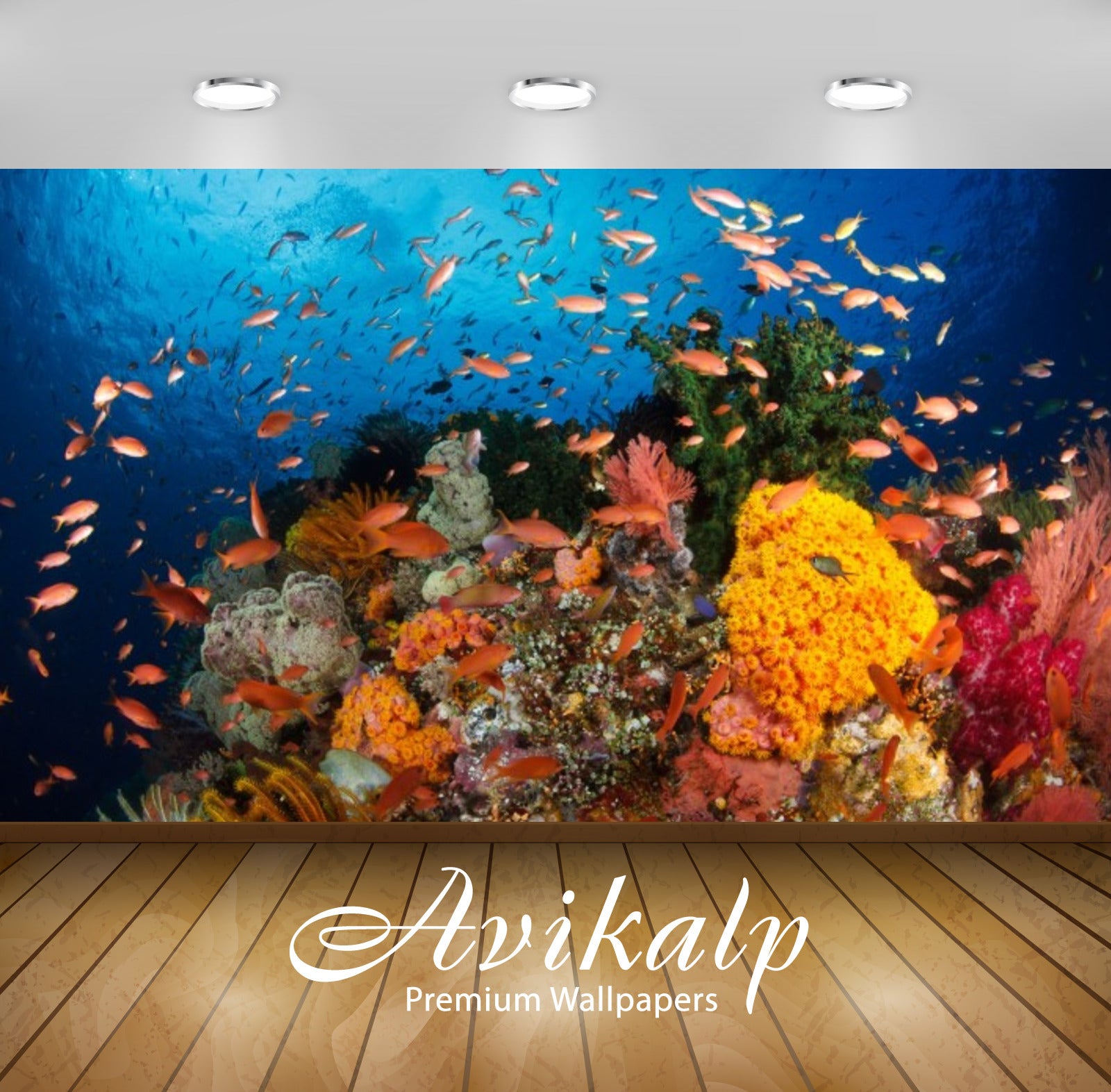 Avikalp Exclusive Awi2874 Ocean Coral Reefs With Corals Exotic Tropical Colorful Fish Underwater Wor