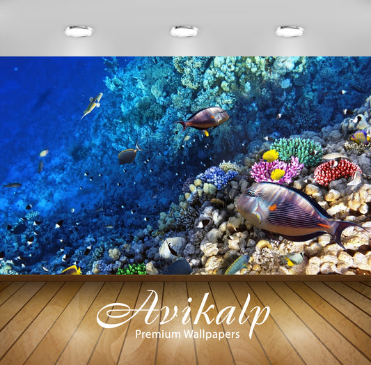 Avikalp Exclusive Awi2878 Ocean Seabed Reef Exotic Marine Fish Full HD Wallpapers for Living room, H