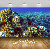 Avikalp Exclusive Awi2879 Ocean Seabed Reef Full HD Wallpapers for Living room, Hall, Kids Room, Kit