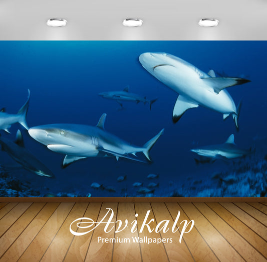 Avikalp Exclusive Awi2880 Ocean Seabed Shark Fish Full HD Wallpapers for Living room, Hall, Kids Roo