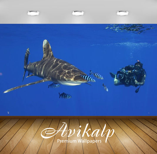 Avikalp Exclusive Awi2881 Ocean Shark Diving Full HD Wallpapers for Living room, Hall, Kids Room, Ki