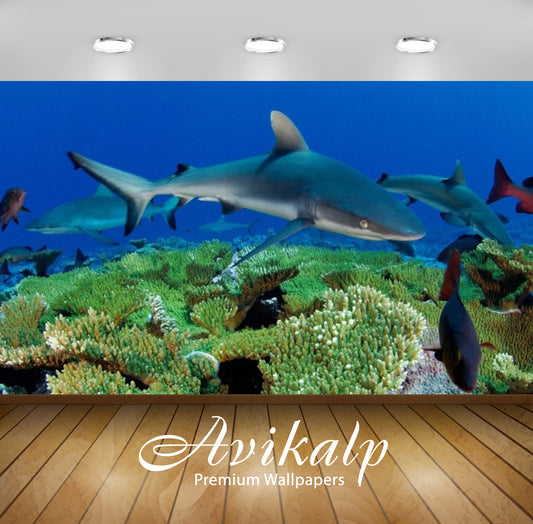 Avikalp Exclusive Awi2885 Ocean Underwater World Fish Sharks Reef Full HD Wallpapers for Living room