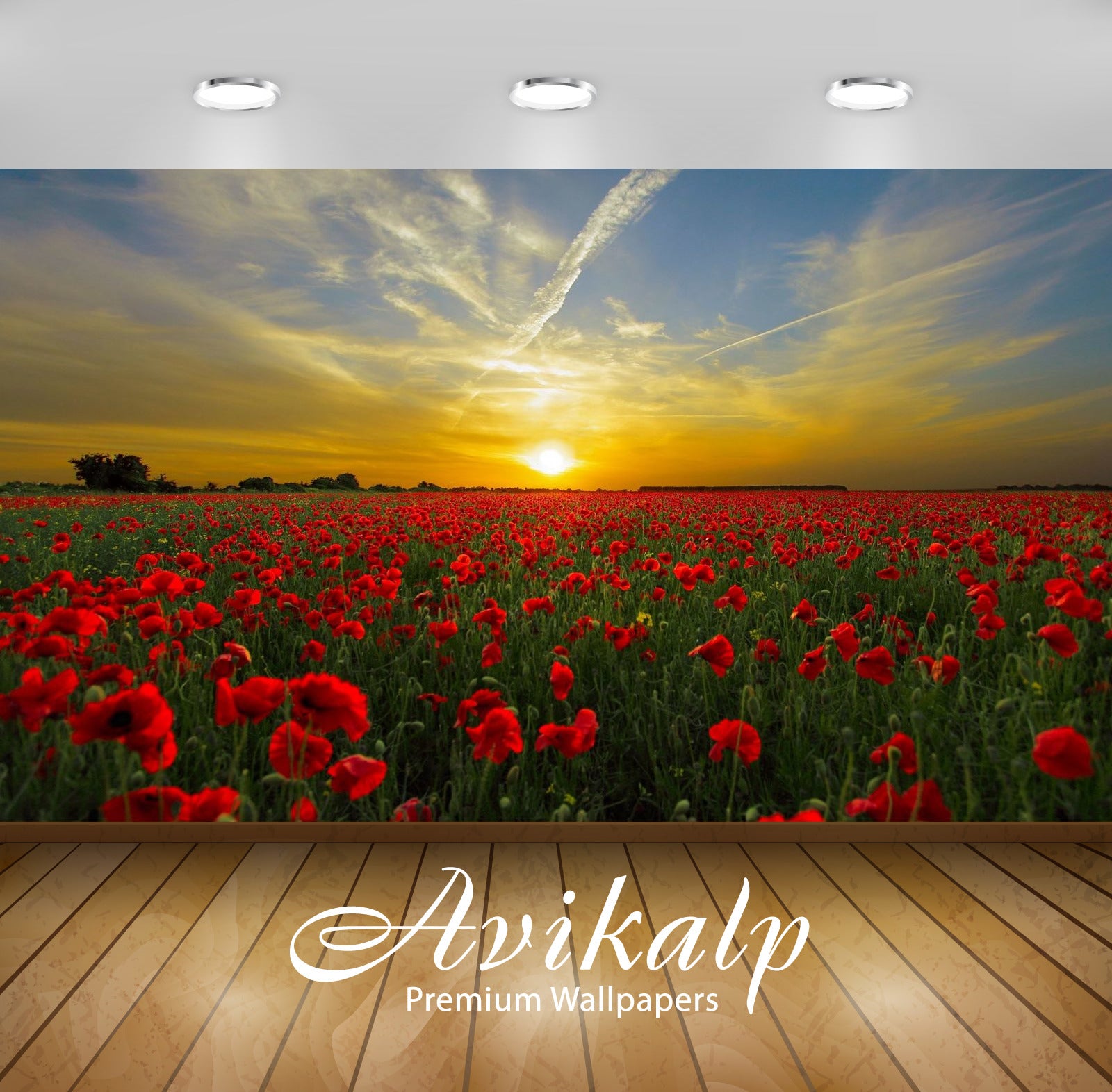 Avikalp Exclusive Awi2890 Orange Sunset Field With Red Poppies Nature Summer Landscape Full HD Wallp