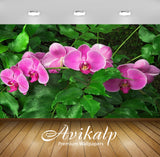Avikalp Exclusive Awi2904 Pink Orchid Flower Full HD Wallpapers for Living room, Hall, Kids Room, Ki
