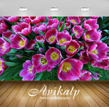 Avikalp Exclusive Awi2908 Pink Tulips Flowers Full HD Wallpapers for Living room, Hall, Kids Room, K