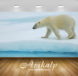 Avikalp Exclusive Awi2916 Polar Bears Range In Color From Light Yellow To Srebrenobela To Straw Yell