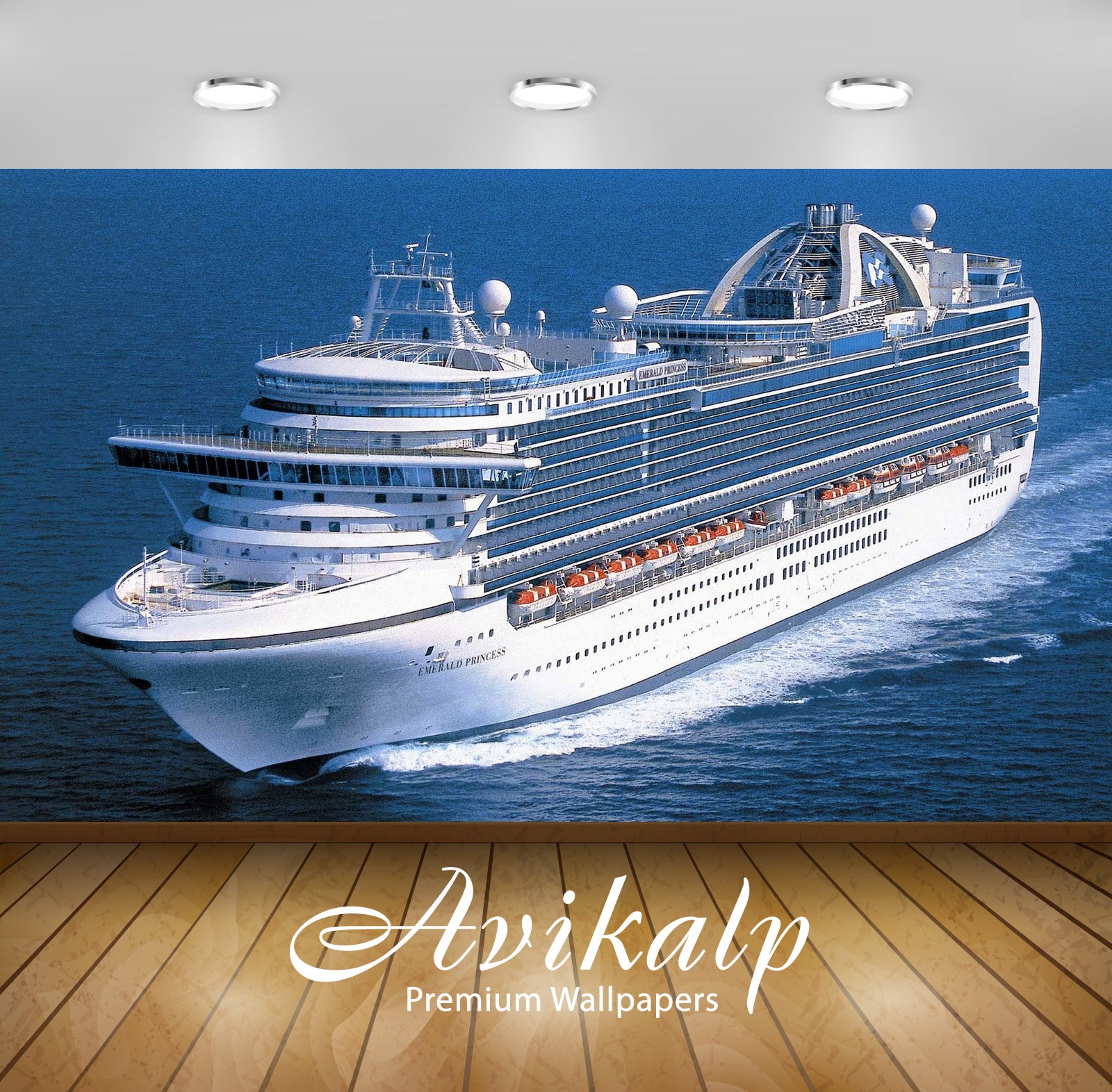 Avikalp Exclusive Awi2923 Princess Cruises Ship Sea Full HD Wallpapers for Living room, Hall, Kids R
