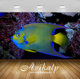 Avikalp Exclusive Awi2928 Queen Angelfish Exotic Marine Fish Full HD Wallpapers for Living room, Hal