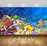 Avikalp Exclusive Awi2932 Raja Ampat Underwater Photo Tropical Colorful Fish Coral Coral Reefs Full