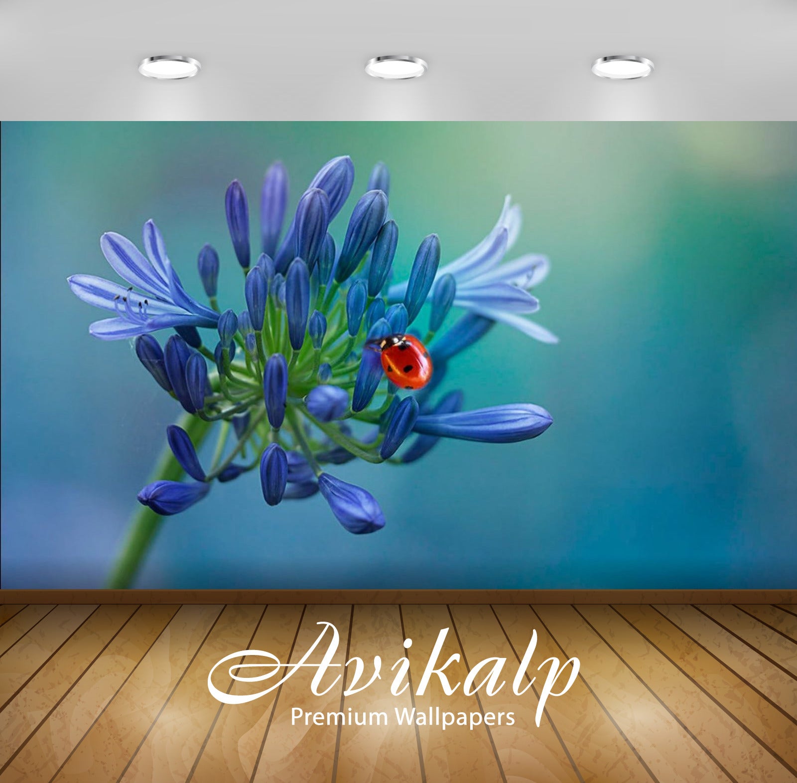 Avikalp Exclusive Awi2939 Red Ladybug On A Blue Flower Full HD Wallpapers for Living room, Hall, Kid
