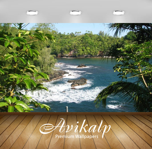 Avikalp Exclusive Awi2983 Sea Coast Cliffs Sea Green Trees The Island Of Maui Hawaii Full HD Wallpap