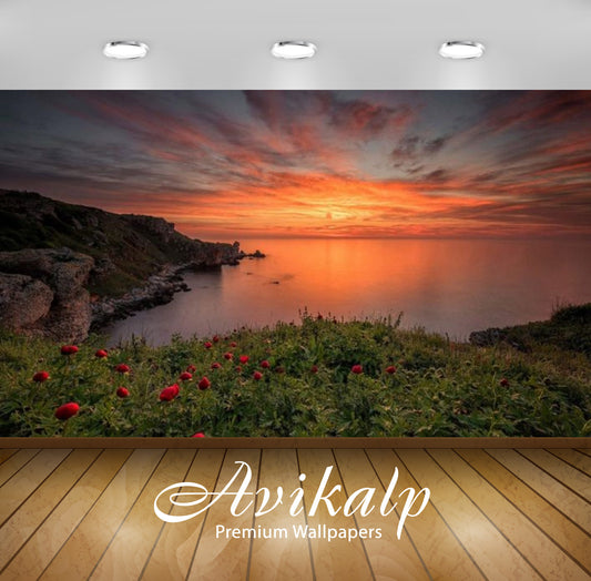 Avikalp Exclusive Awi2984 Sea Coast Meadow With Green Grass And Red Poppies Red Cloud Sunset Reflect