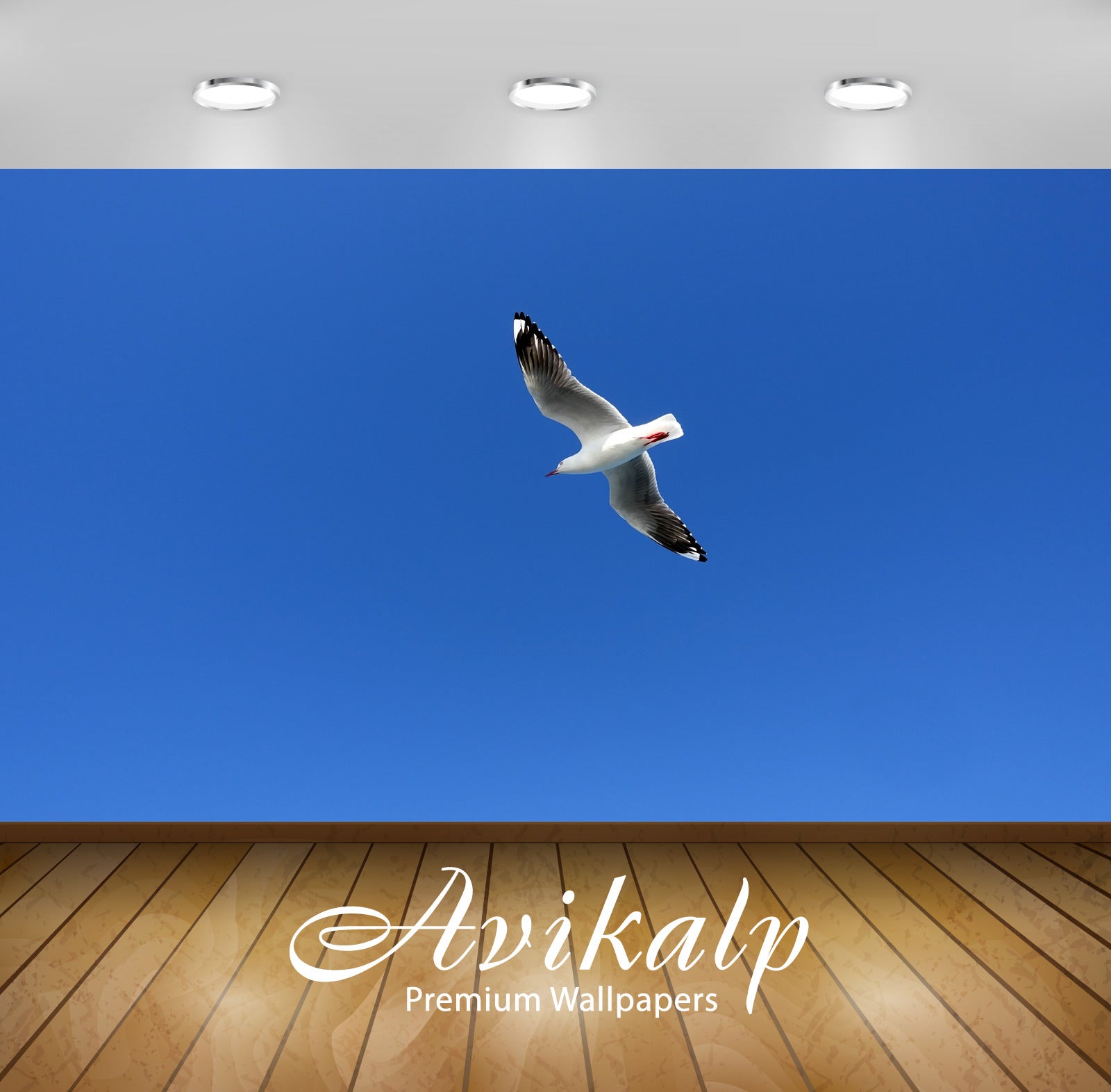 Avikalp Exclusive Premium seagull HD Wallpapers for Living room, Hall, Kids Room, Kitchen, TV Backgr