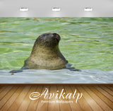Avikalp Exclusive Premium seal HD Wallpapers for Living room, Hall, Kids Room, Kitchen, TV Backgroun