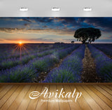 Avikalp Exclusive Awi3080 Sunset Fields With Lavender Brihuega Guadalajara Province Spain Full HD Wa