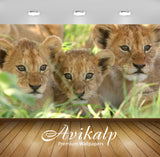 Avikalp Exclusive Awi3150 Three Young Lions In The Green Grass Tanzania Kamp Elewana Full HD Wallpap