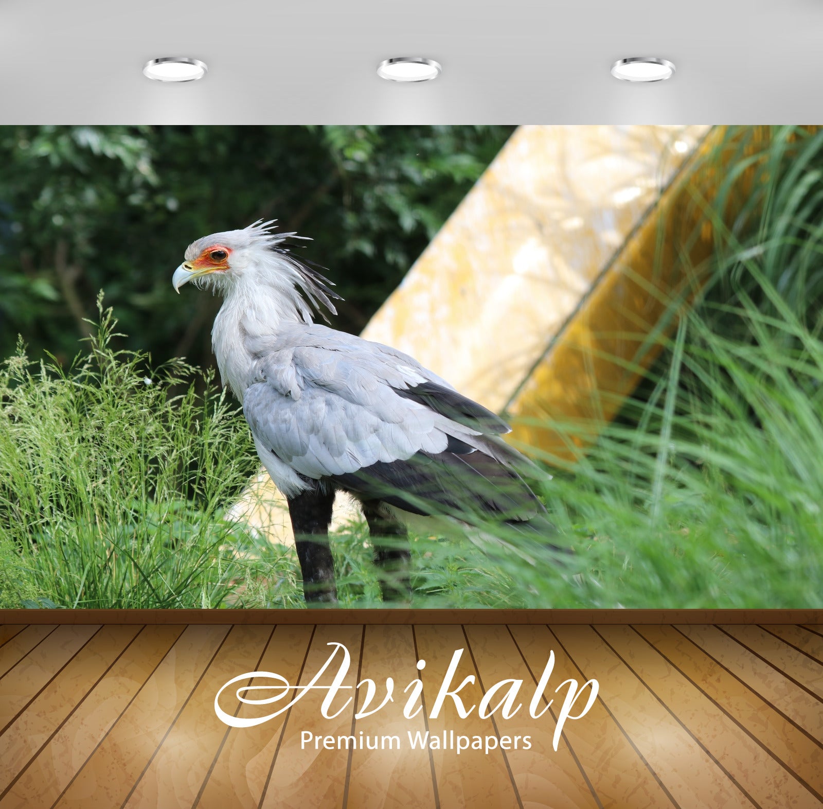 Avikalp Exclusive Premium serpent HD Wallpapers for Living room, Hall, Kids Room, Kitchen, TV Backgr