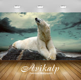 Avikalp Exclusive Awi3206 White Polar Bear Polar Bears Have An Excellent Sense Of Smell And Can Find