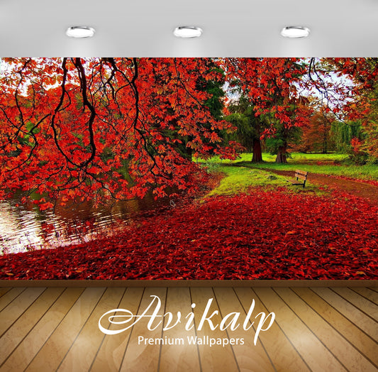 Avikalp Exclusive Awi3261 Autumn Nature Beauty With Red Trees Falling Leaves Full HD Wallpapers for