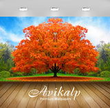 Avikalp Exclusive Awi3299 Orange Bonsai Tree Nature Full HD Wallpapers for Living room, Hall, Kids R