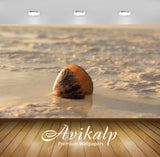 Avikalp Exclusive Premium snail HD Wallpapers for Living room, Hall, Kids Room, Kitchen, TV Backgrou