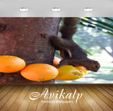 Avikalp Exclusive Premium squirrel HD Wallpapers for Living room, Hall, Kids Room, Kitchen, TV Backg