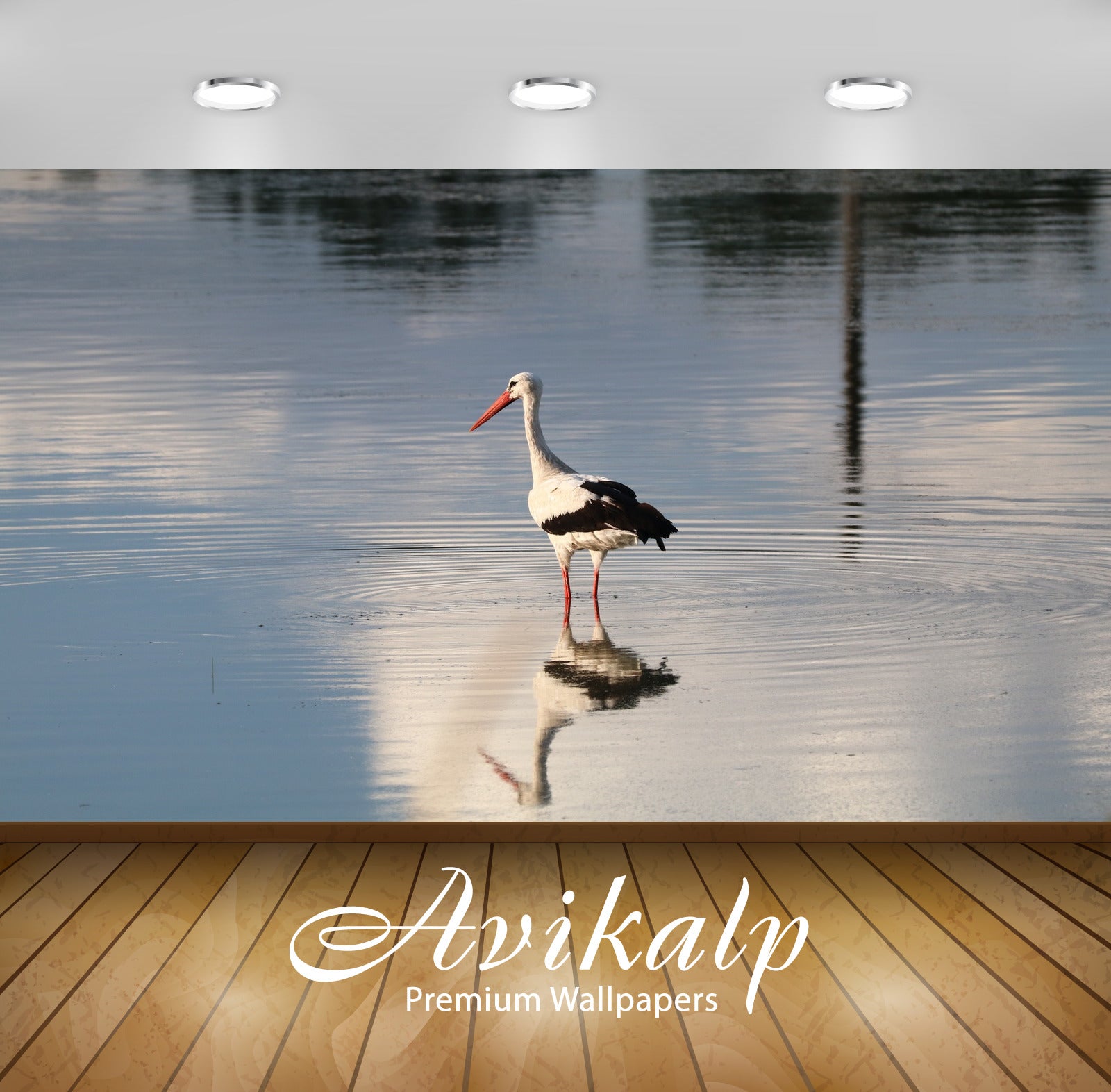 Avikalp Exclusive Premium stork HD Wallpapers for Living room, Hall, Kids Room, Kitchen, TV Backgrou