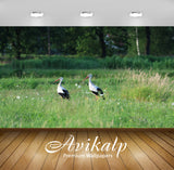 Avikalp Exclusive Premium storks HD Wallpapers for Living room, Hall, Kids Room, Kitchen, TV Backgro