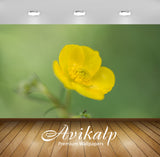 Avikalp Exclusive Premium buttercup HD Wallpapers for Living room, Hall, Kids Room, Kitchen, TV Back