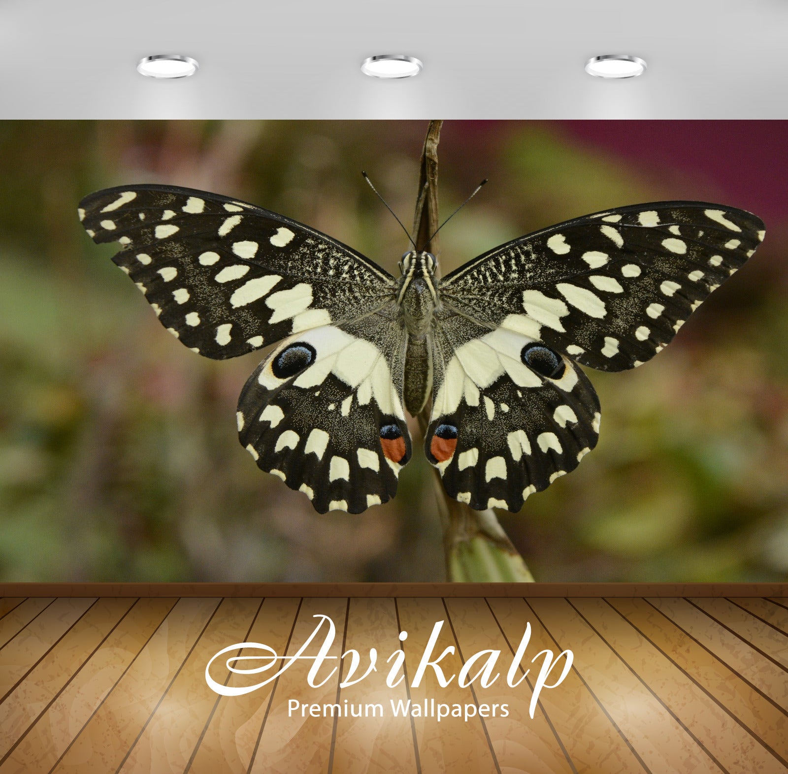 Avikalp Exclusive Premium butterfly HD Wallpapers for Living room, Hall, Kids Room, Kitchen, TV Back