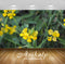 Avikalp Exclusive Premium turkey HD Wallpapers for Living room, Hall, Kids Room, Kitchen, TV Backgro