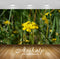 Avikalp Exclusive Premium turkey HD Wallpapers for Living room, Hall, Kids Room, Kitchen, TV Backgro