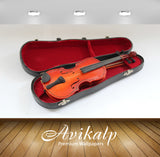 Avikalp Exclusive Premium violin HD Wallpapers for Living room, Hall, Kids Room, Kitchen, TV Backgro
