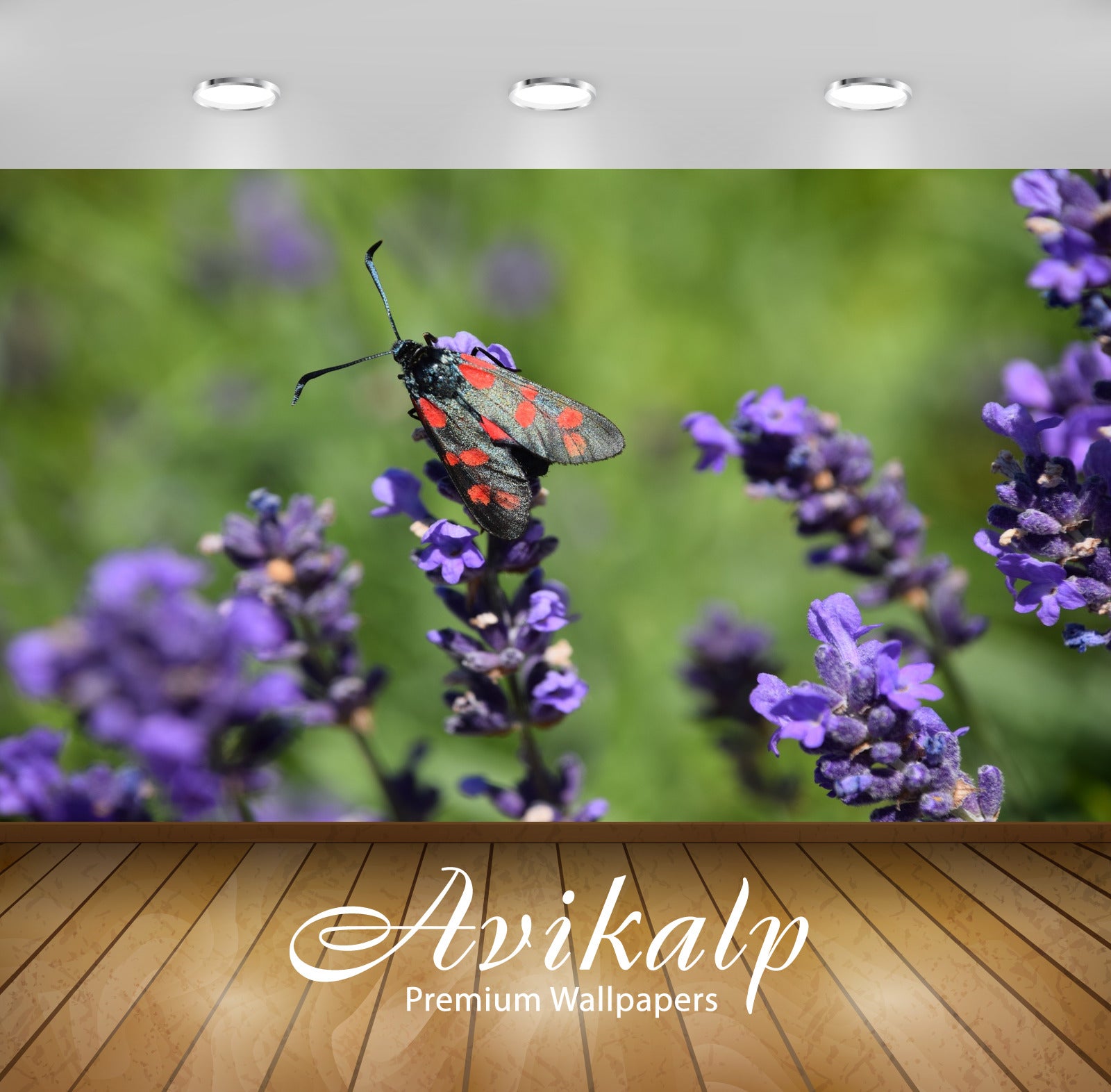 Avikalp Exclusive Premium varmare HD Wallpapers for Living room, Hall, Kids Room, Kitchen, TV Backgr