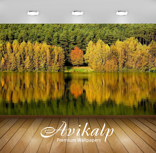 Avikalp Exclusive Awi5130 Autumn Forest By The Lake Nature Full HD Wallpapers for Living room, Hall,