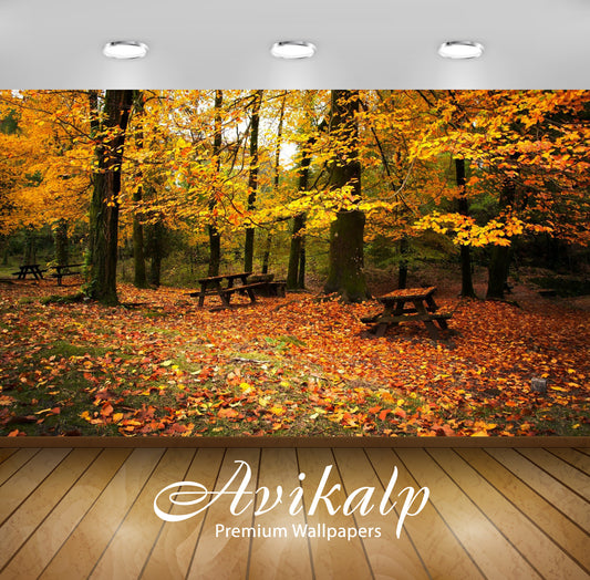 Avikalp Exclusive Awi5140 Autumn In The Forest Nature Full HD Wallpapers for Living room, Hall, Kids