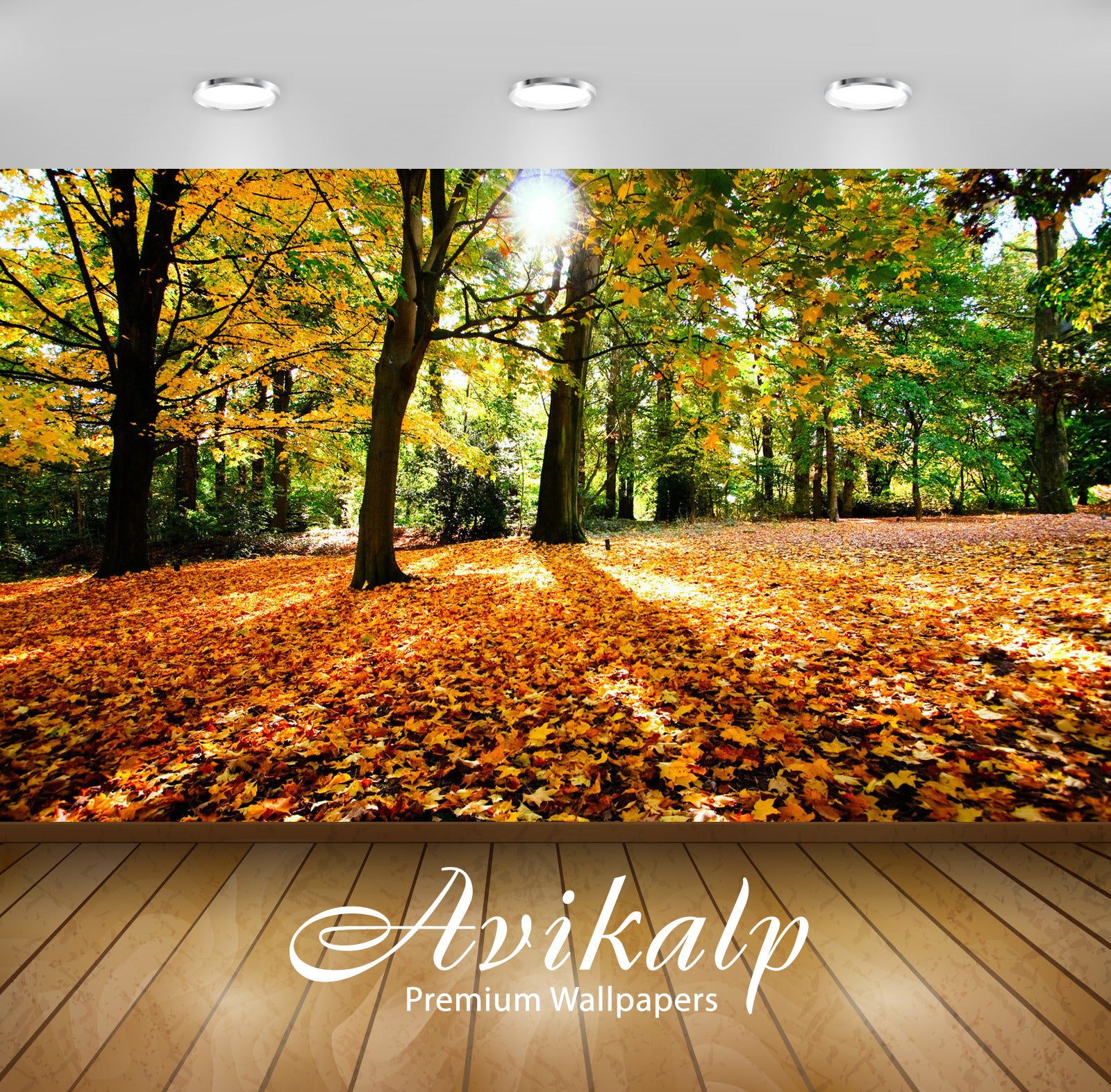 Avikalp Exclusive Awi5141 Autumn In The Forest Nature Full HD Wallpapers for Living room, Hall, Kids