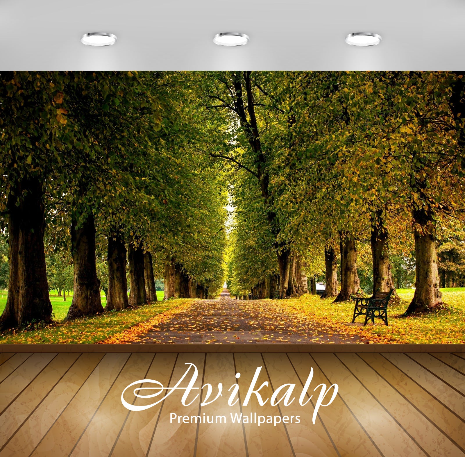 Avikalp Exclusive Awi5151 Autumn Leaves On The Park Path Nature Full HD Wallpapers for Living room,