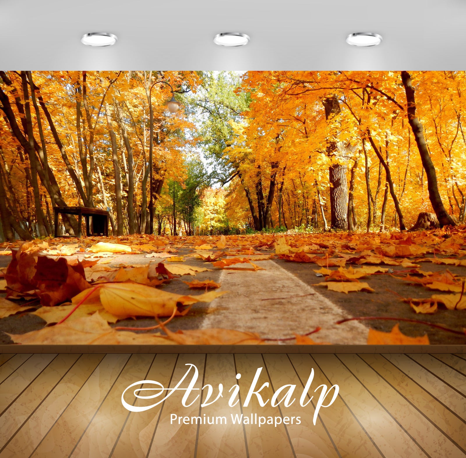 Avikalp Exclusive Awi5152 Autumn Leaves On The Pavement Nature Full HD Wallpapers for Living room, H