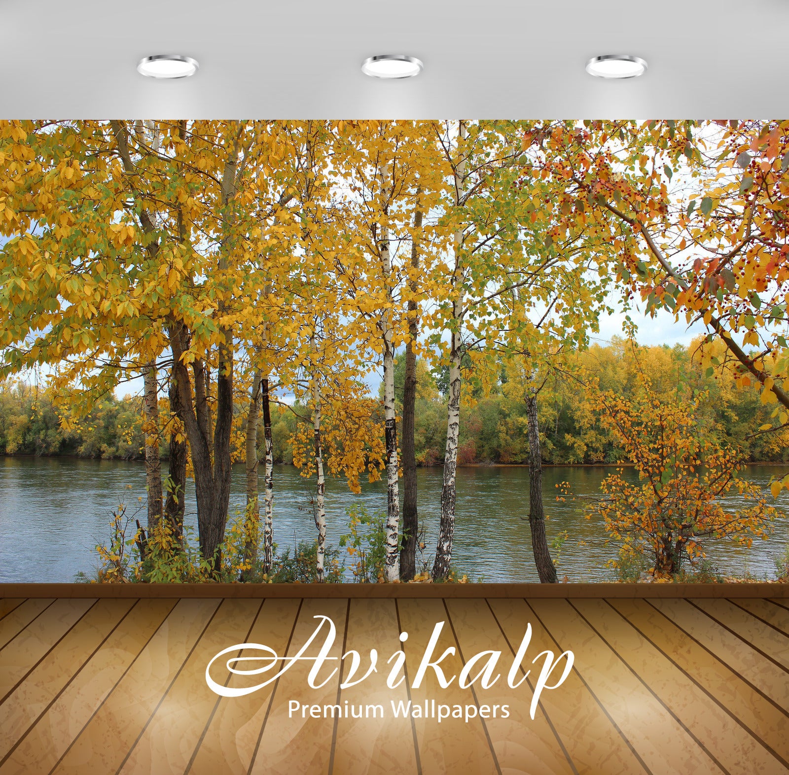 Avikalp Exclusive Awi5165 Autumn Trees On The River Side Nature Full HD Wallpapers for Living room,