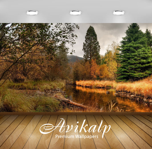 Avikalp Exclusive Awi5222 Beauty Of An Autumn Day In The Forest By The River Nature Full HD Wallpape