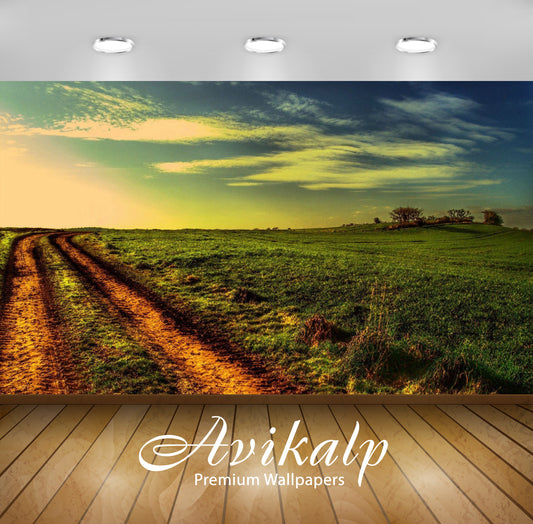 Avikalp Exclusive Awi5302 Car Tracks Through The Green Field Nature Full HD Wallpapers for Living ro