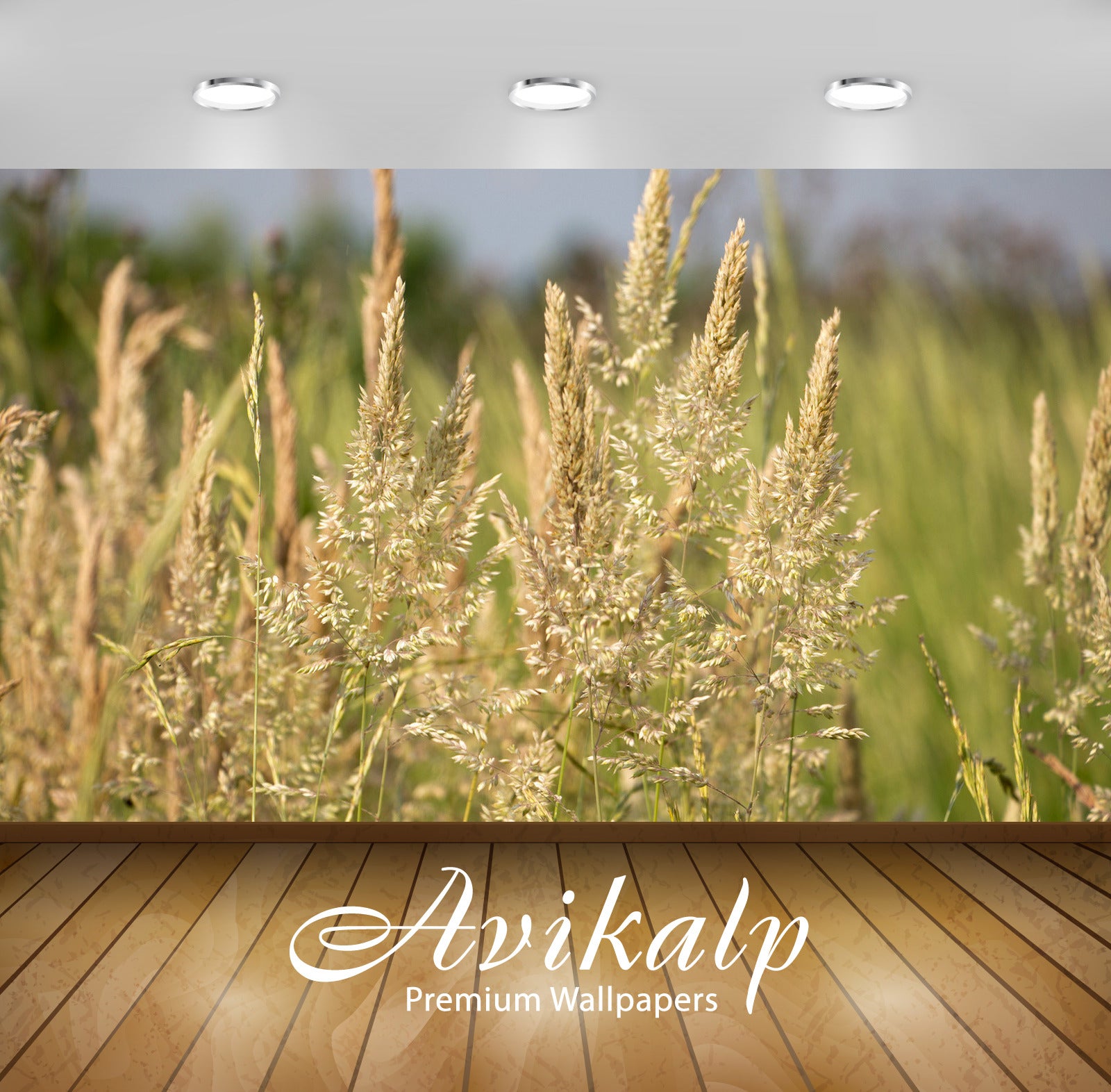 Avikalp Exclusive Awi5399 Feather Grass Nature Full HD Wallpapers for Living room, Hall, Kids Room,