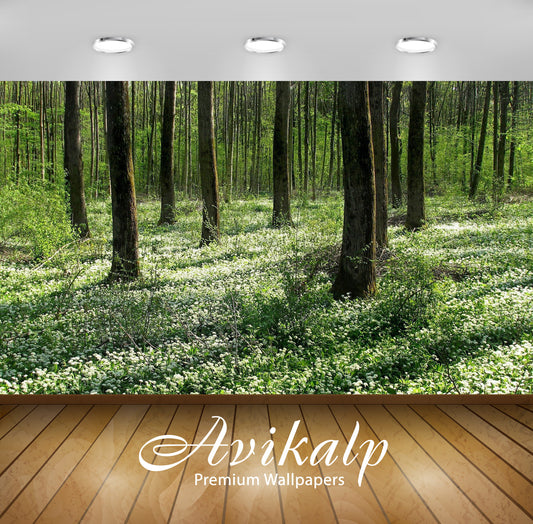 Avikalp Exclusive Awi5453 Forest Nature Full HD Wallpapers for Living room, Hall, Kids Room, Kitchen