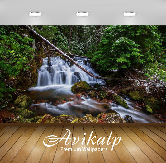 Avikalp Exclusive Awi5471 Forest Waterfall Nature Full HD Wallpapers for Living room, Hall, Kids Roo