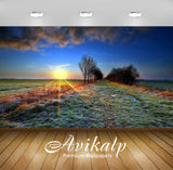 Avikalp Exclusive Awi5475 Frozen Field Nature Full HD Wallpapers for Living room, Hall, Kids Room, K