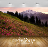 Avikalp Exclusive Awi5504 Glacier Peak Wilderness Nature Full HD Wallpapers for Living room, Hall, K